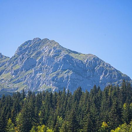 Holiday Home Lisica Žabljak エクステリア 写真