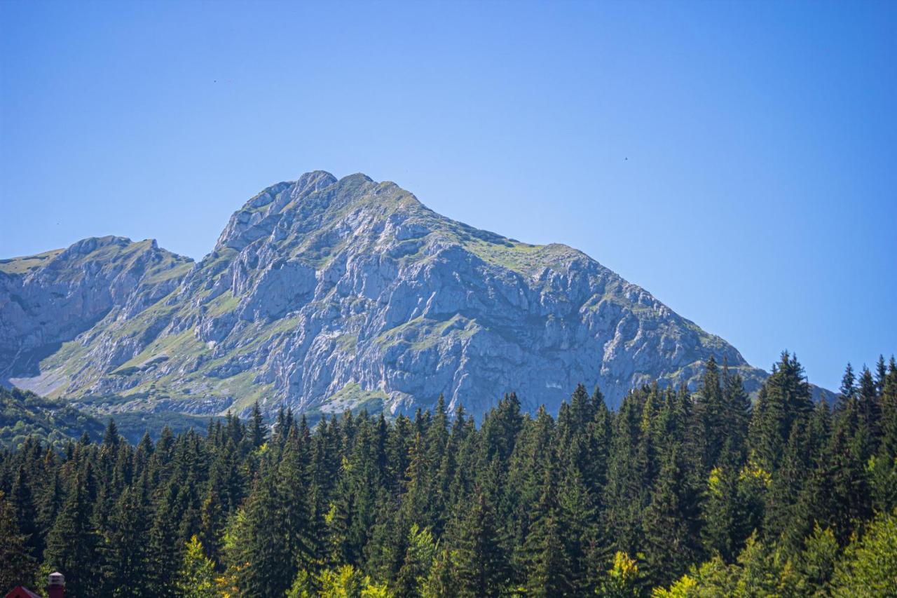 Holiday Home Lisica Žabljak エクステリア 写真