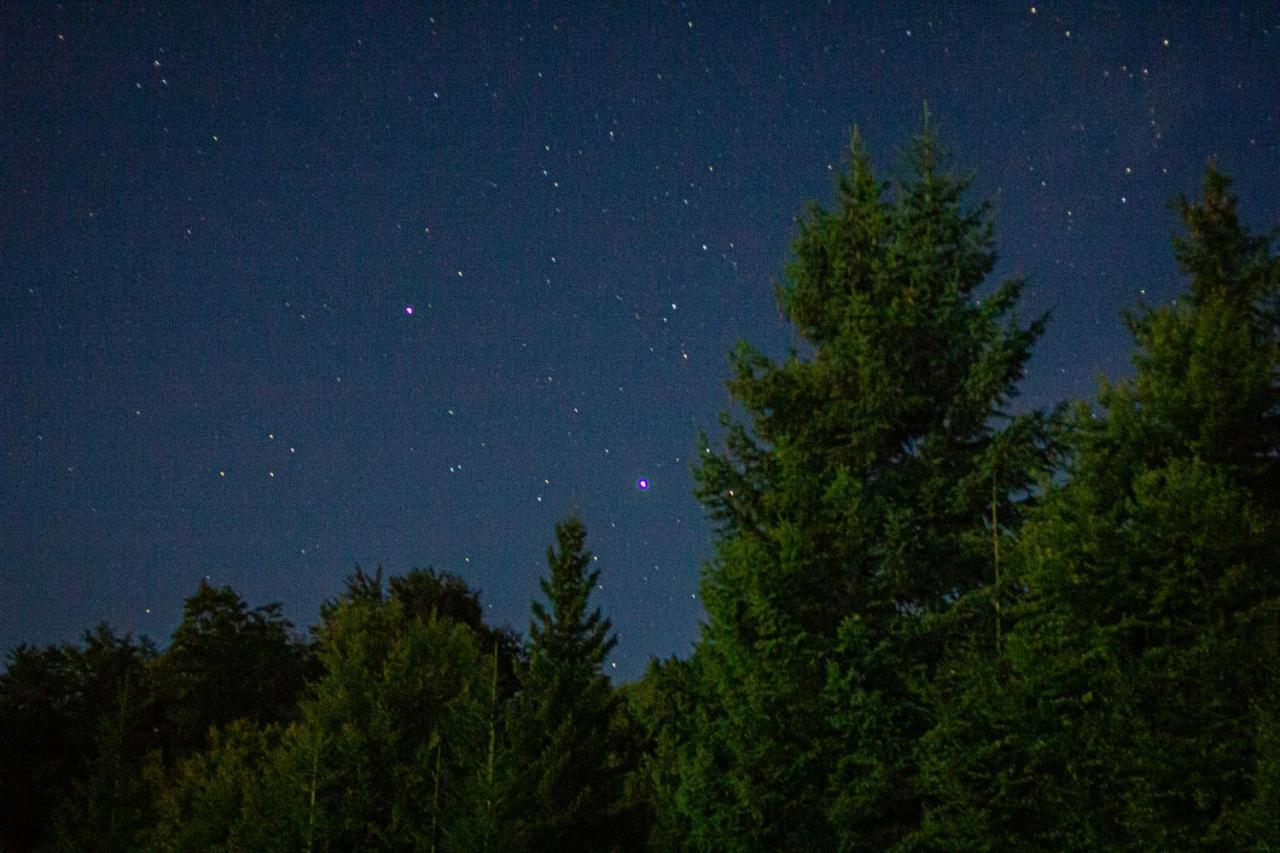 Holiday Home Lisica Žabljak エクステリア 写真