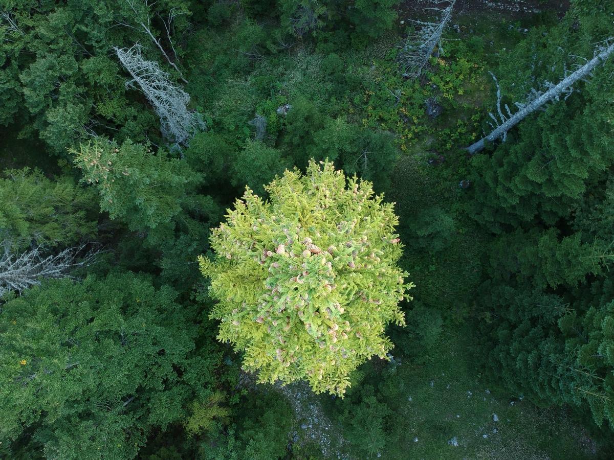 Holiday Home Lisica Žabljak エクステリア 写真