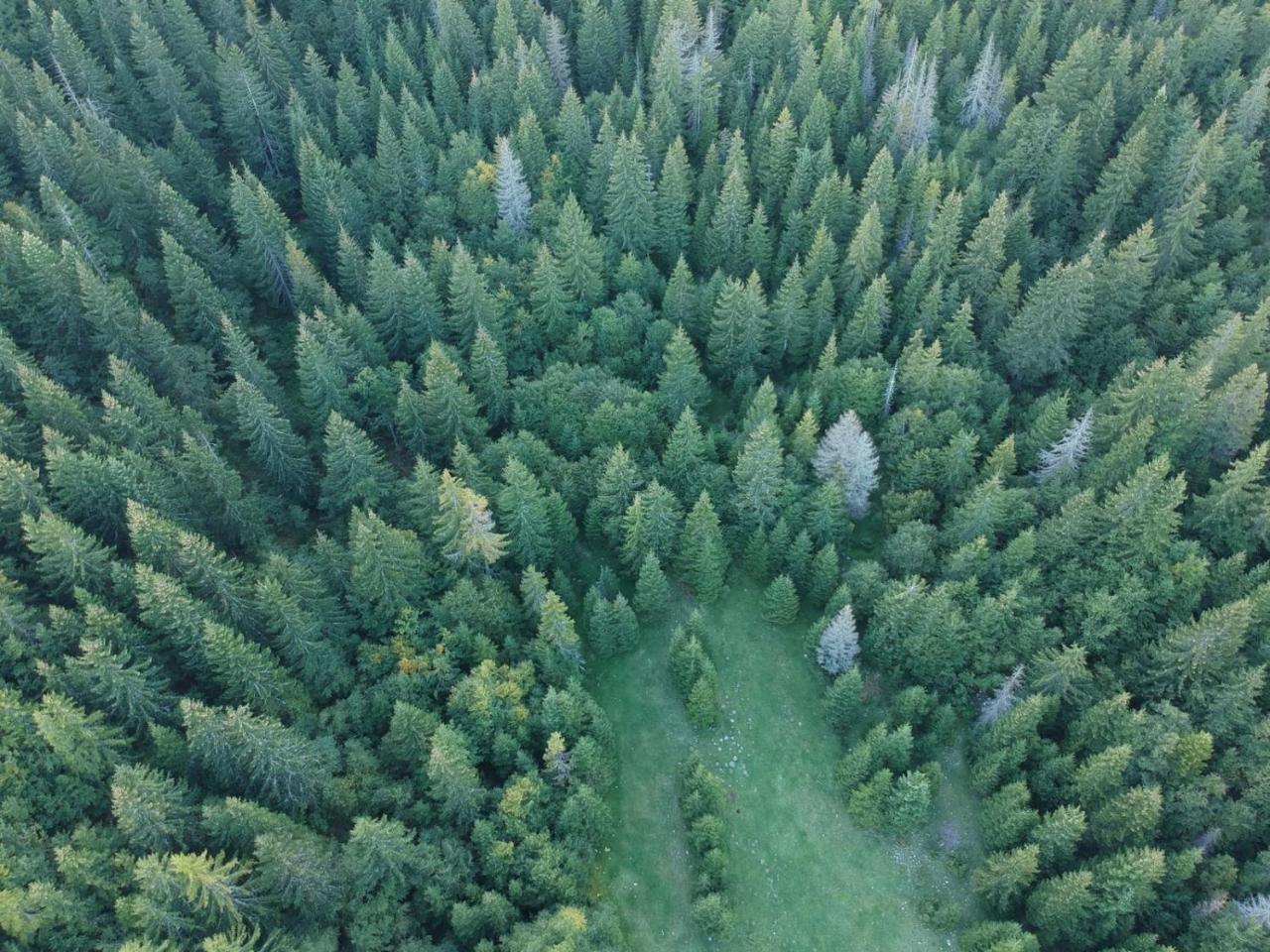 Holiday Home Lisica Žabljak エクステリア 写真